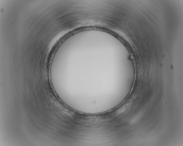 X0000074320927200609152028