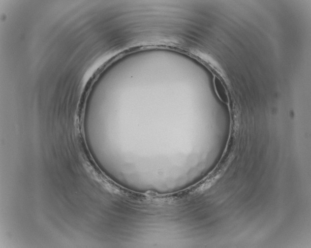 X0000074320928200609152028