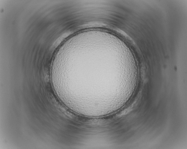 X0000074320929200609152028