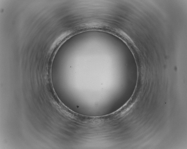 X0000074320930200609152028