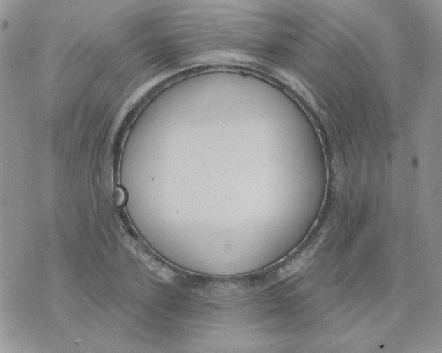 X0000074320931200609152028