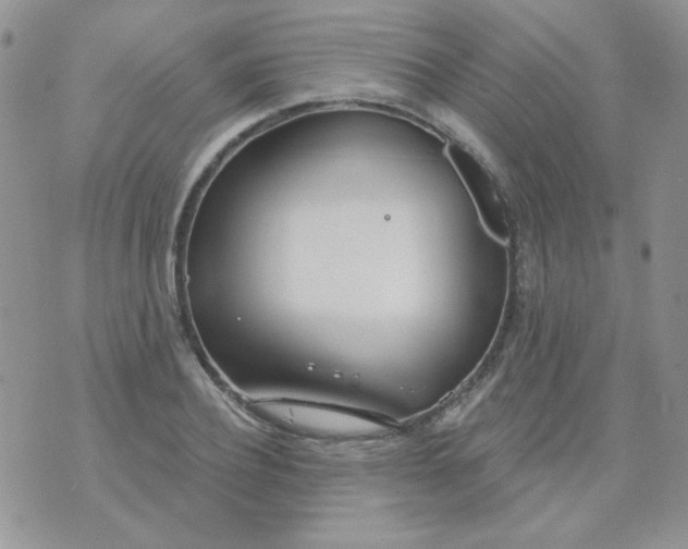 X0000074320932200609152028