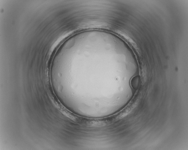 X0000074320933200609152028