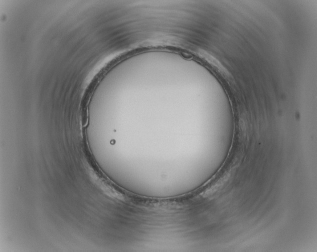 X0000074320934200609152028