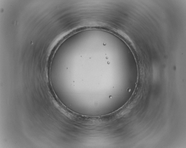 X0000074320935200609152028