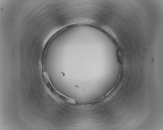 X0000074320936200609152028