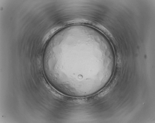 X0000074320937200609152028