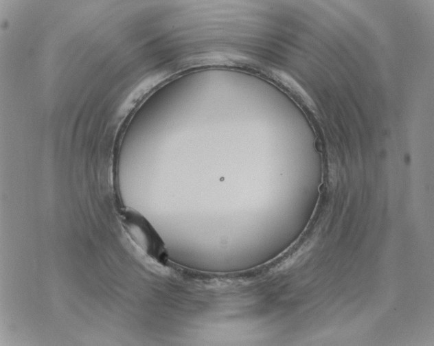 X0000074320938200609152028