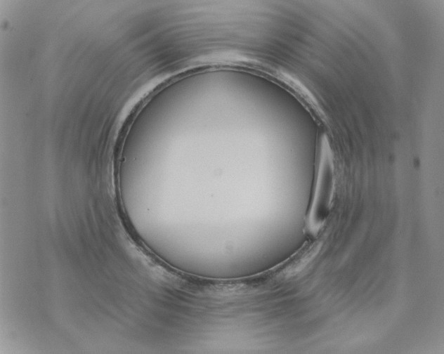 X0000074320939200609152028