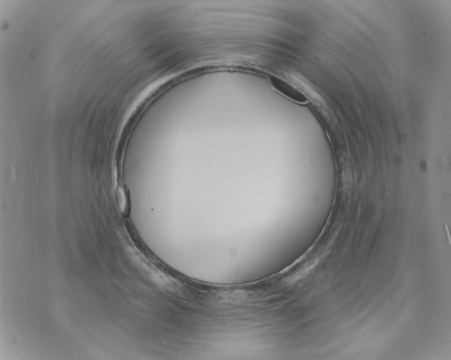 X0000074320940200609152028