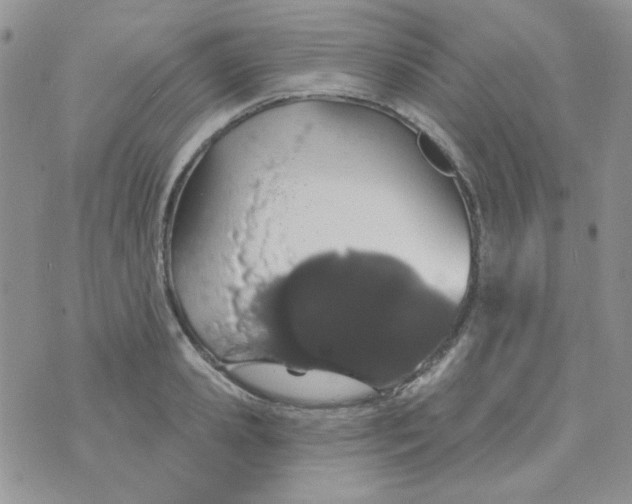 X0000074320941200609152028