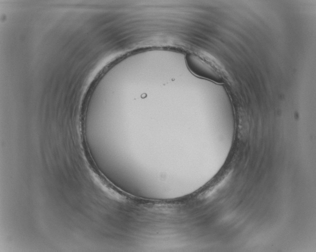 X0000074320942200609152028