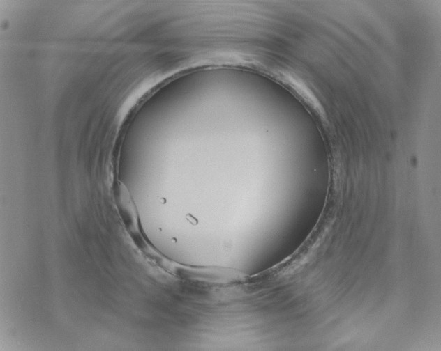 X0000074320944200609152028