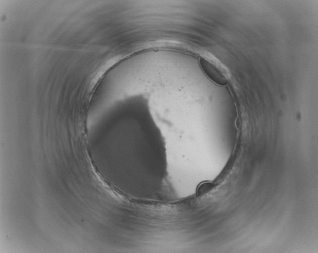 X0000074320945200609152028