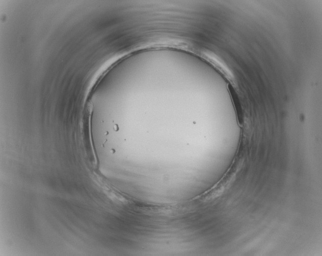 X0000074320948200609152028