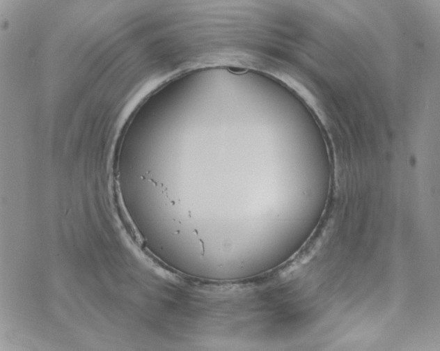 X0000074320949200609152028