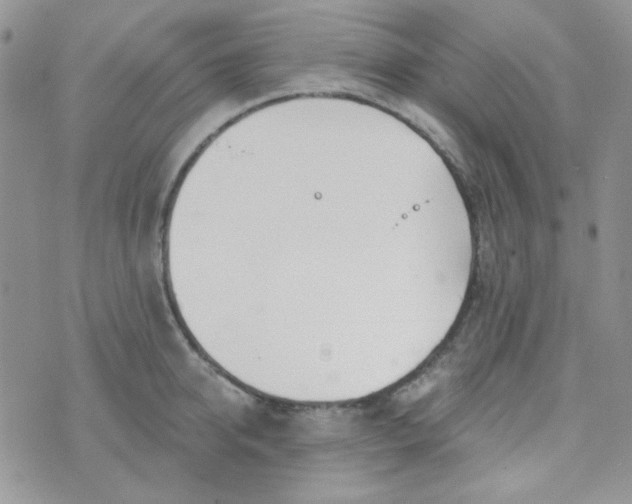 X0000074320950200609152028