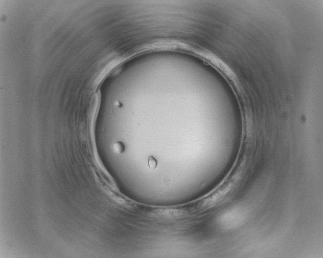 X0000074320953200609152028