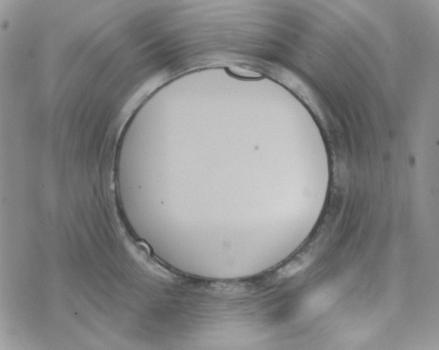 X0000074320954200609152028