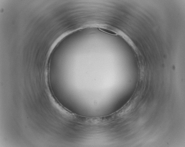 X0000074320955200609152028