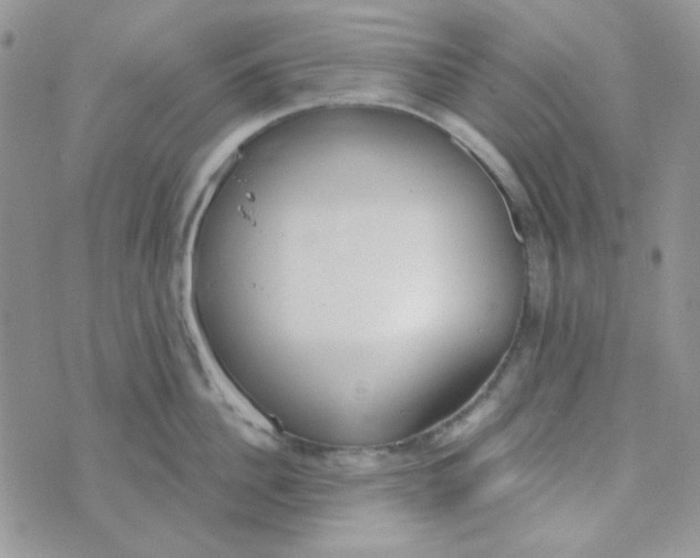 X0000074320956200609152028