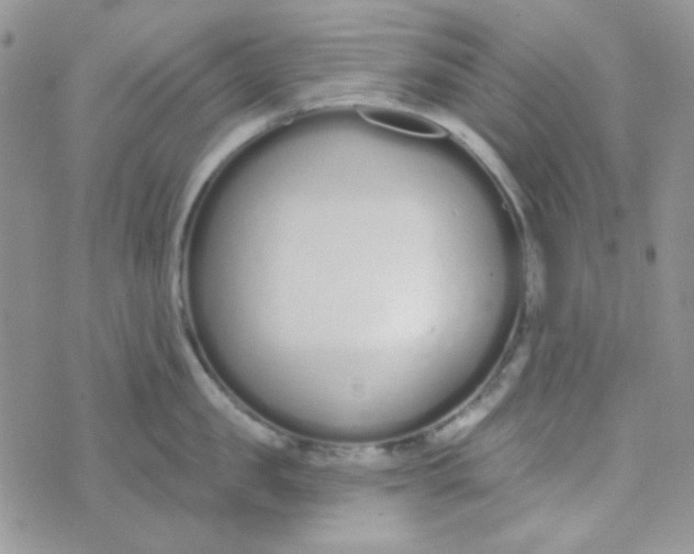 X0000074320957200609152029