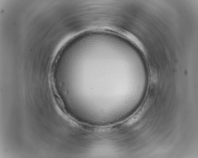 X0000074320958200609152029