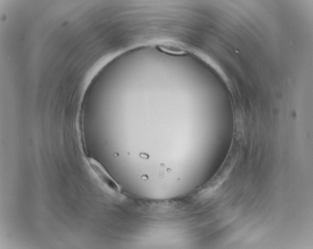 X0000074320959200609152029