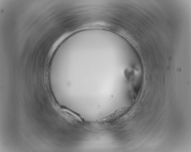 X0000074320960200609152029