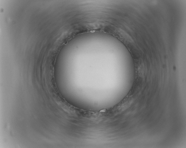 X0000074320961200609152028