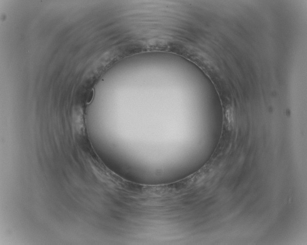 X0000074320963200609152028