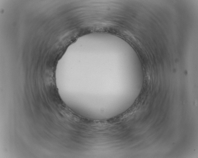 X0000074320964200609152028