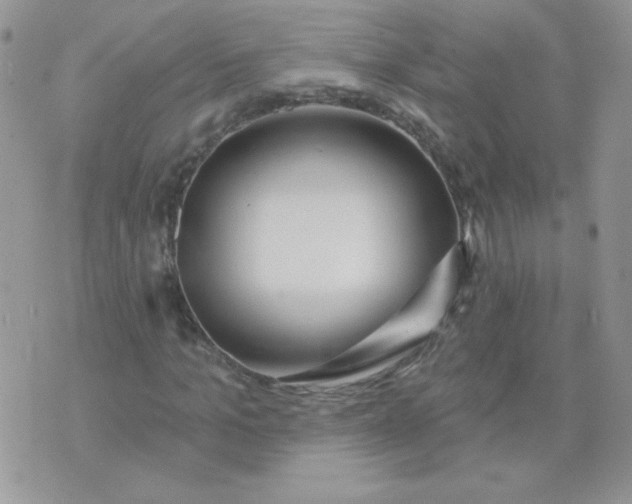 X0000074320965200609152028