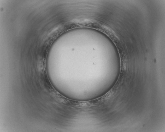 X0000074320966200609152028