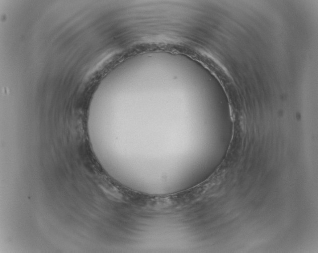 X0000074320968200609152028