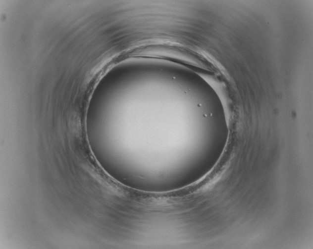 X0000074320969200609152028