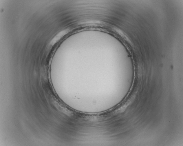 X0000074320970200609152028