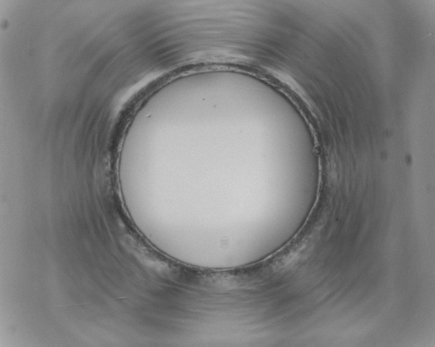 X0000074320971200609152028