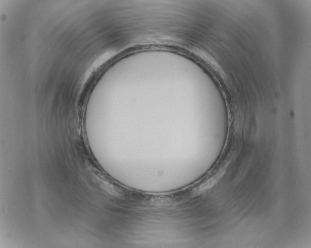 X0000074320974200609152028