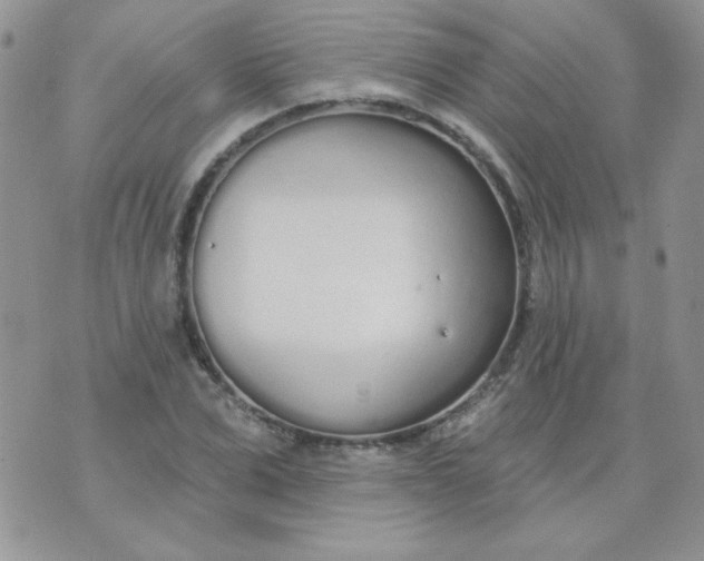 X0000074320975200609152028