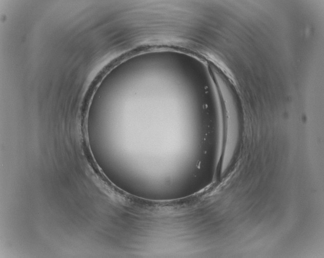 X0000074320976200609152028