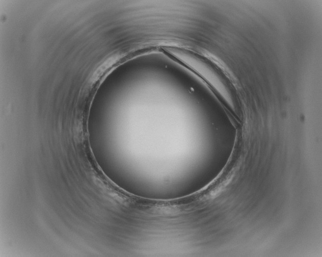 X0000074320977200609152028