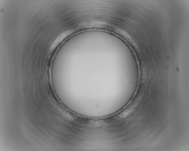 X0000074320978200609152028