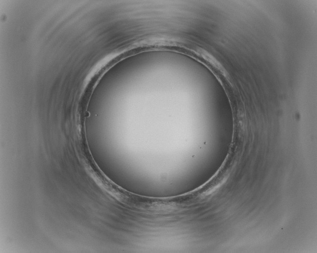 X0000074320981200609152027