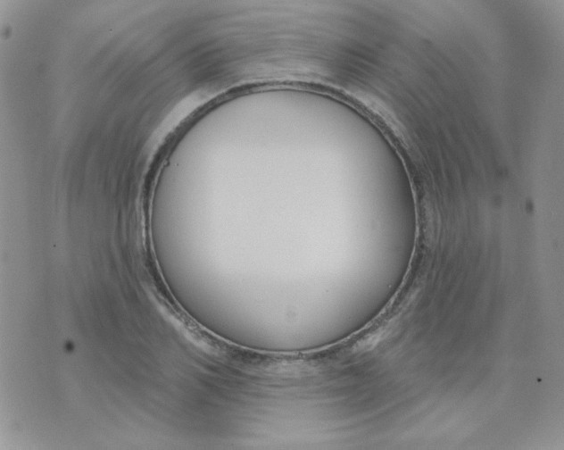 X0000074320982200609152027