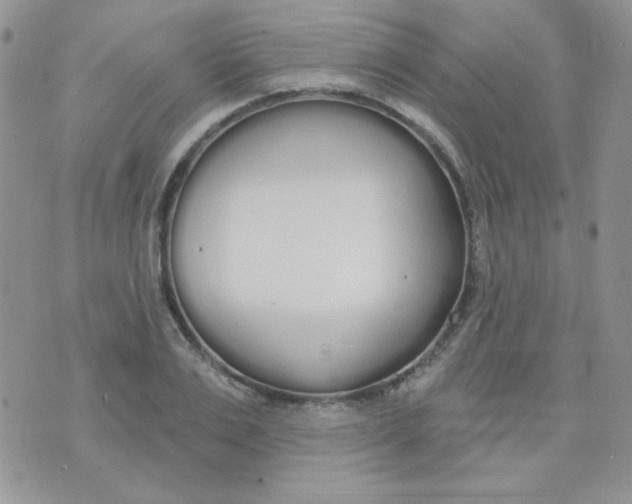 X0000074320983200609152027