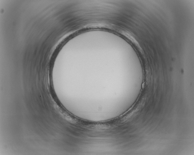 X0000074320984200609152027