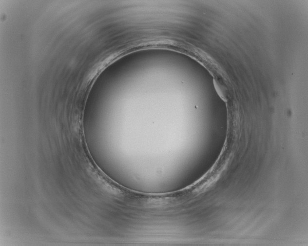 X0000074320985200609152027