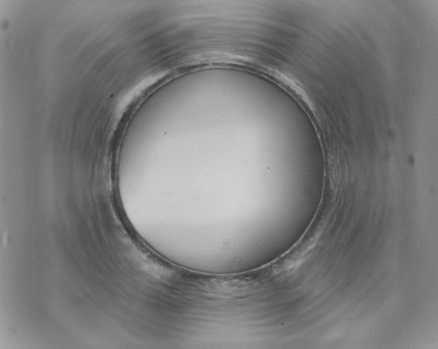 X0000074320987200609152027