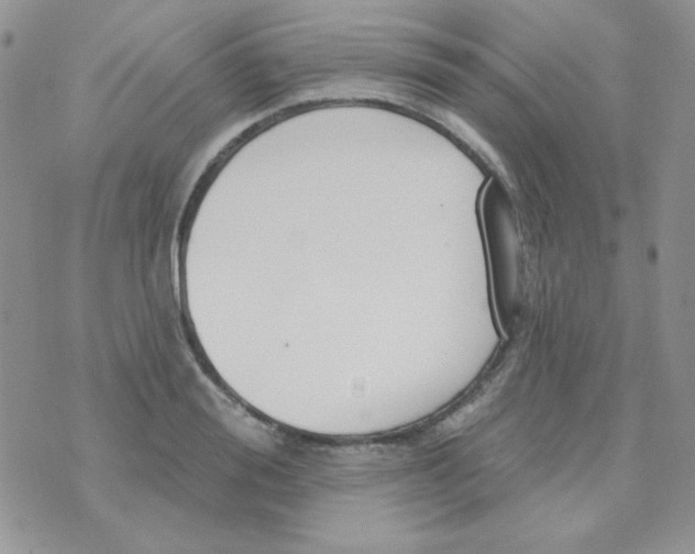 X0000074320988200609152027